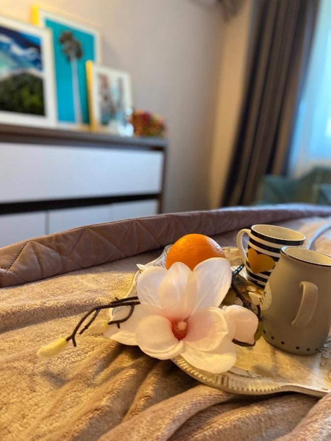 Victoriei Deluxe Suites Bucureşti Ngoại thất bức ảnh