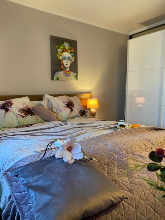 Victoriei Deluxe Suites Bucureşti Ngoại thất bức ảnh